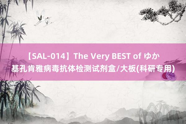 【SAL-014】The Very BEST of ゆか 基孔肯雅病毒抗体检测试剂盒/大板(科研专用)