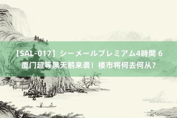 【SAL-017】シーメールプレミアム4時間 6 厦门超等黑天鹅来袭！楼市将何去何从？