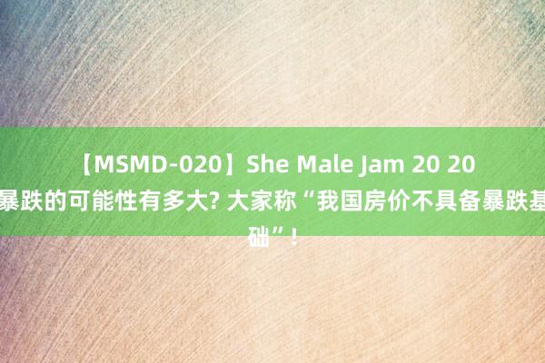 【MSMD-020】She Male Jam 20 2024年暴跌的可能性有多大? 大家称“我国房价不具备暴跌基础”!