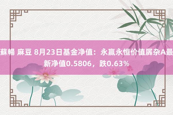 蘇暢 麻豆 8月23日基金净值：永赢永恒价值羼杂A最新净值0.5806，跌0.63%