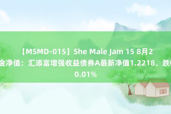 【MSMD-015】She Male Jam 15 8月23日基金净值：汇添富增强收益债券A最新净值1.2218，跌0.01%