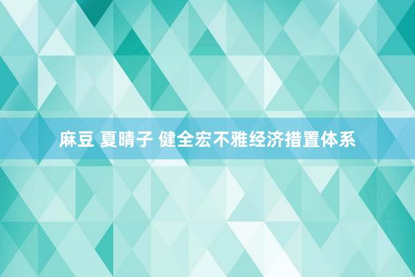 麻豆 夏晴子 健全宏不雅经济措置体系