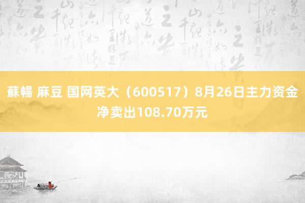 蘇暢 麻豆 国网英大（600517）8月26日主力资金净卖出108.70万元