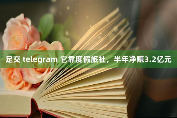 足交 telegram 它靠度假旅社，半年净赚3.2亿元