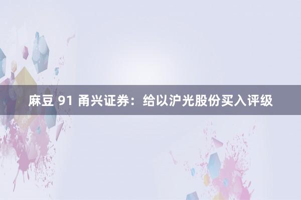 麻豆 91 甬兴证券：给以沪光股份买入评级