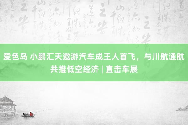 爱色岛 小鹏汇天遨游汽车成王人首飞，与川航通航共推低空经济 | 直击车展