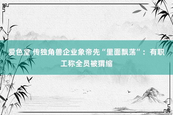 爱色堂 传独角兽企业象帝先“里面飘荡”：有职工称全员被猬缩