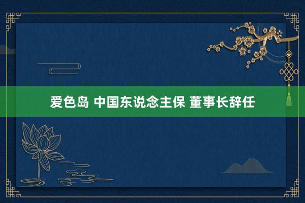 爱色岛 中国东说念主保 董事长辞任