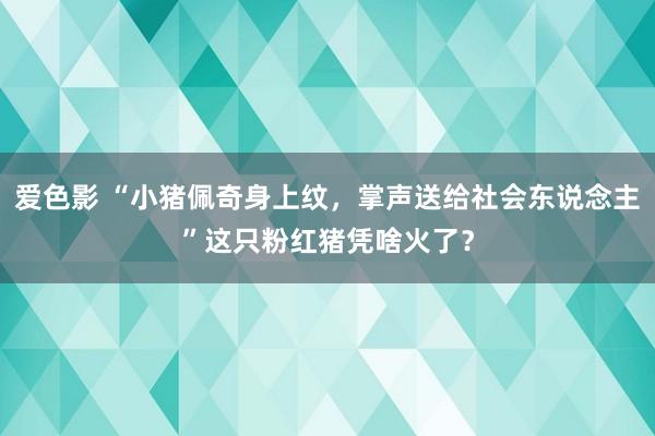 爱色影 “小猪佩奇身上纹，掌声送给社会东说念主”这只粉红猪凭啥火了？