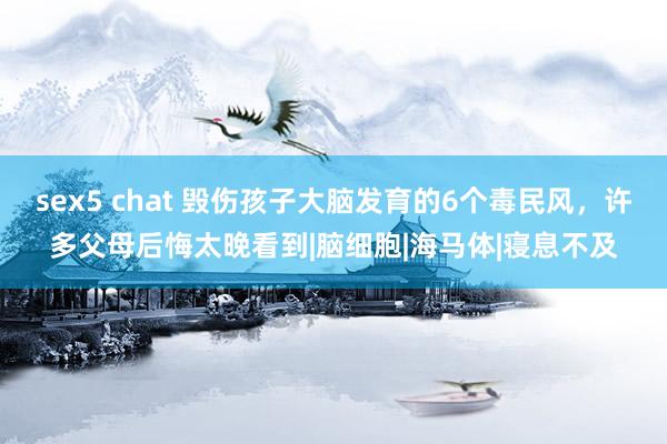 sex5 chat 毁伤孩子大脑发育的6个毒民风，许多父母后悔太晚看到|脑细胞|海马体|寝息不及