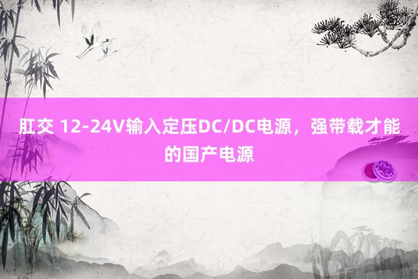 肛交 12-24V输入定压DC/DC电源，强带载才能的国产电源