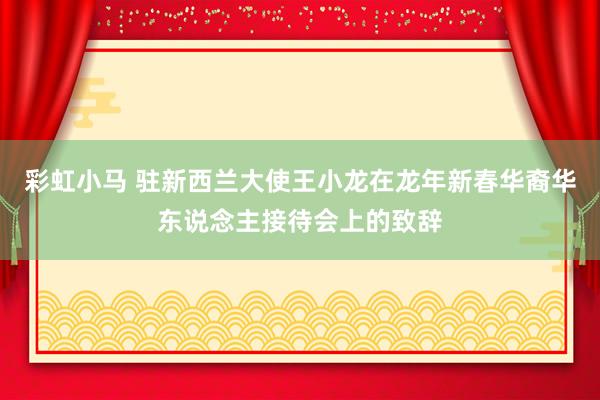 彩虹小马 驻新西兰大使王小龙在龙年新春华裔华东说念主接待会上的致辞